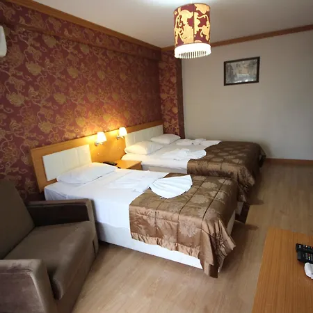 Flower Palace Hotel 2*