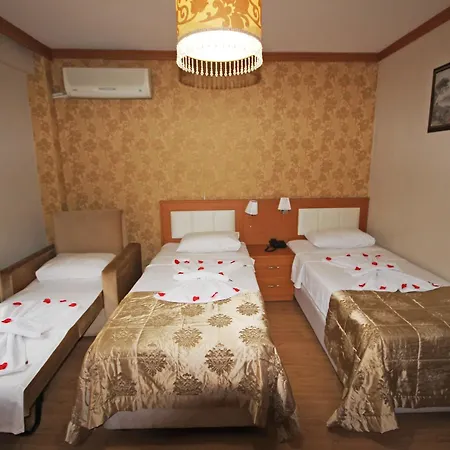 Отель Flower Palace 2*