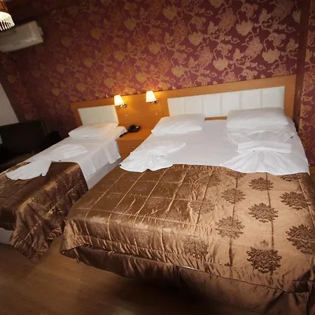 Flower Palace Hotel Istanboel