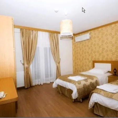 Flower Palace Hotel 2*