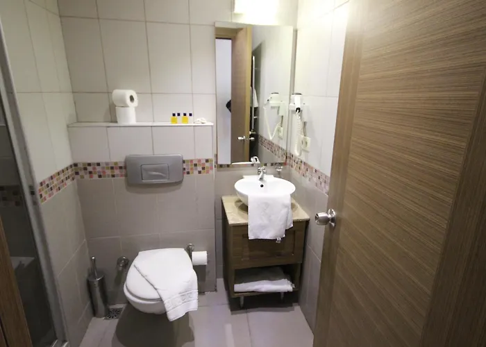 Flower Palace Hotel 2*