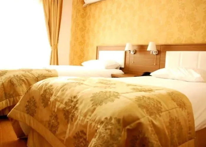 Flower Palace Hotel 2*