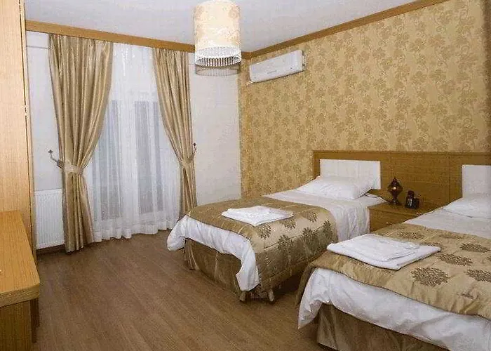 Hotel Flower Palace Provincia di Istanbul